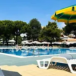 In A Modern Bibione